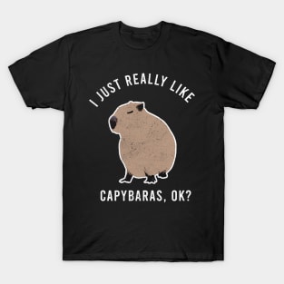 i just really like Capybaras T-Shirt